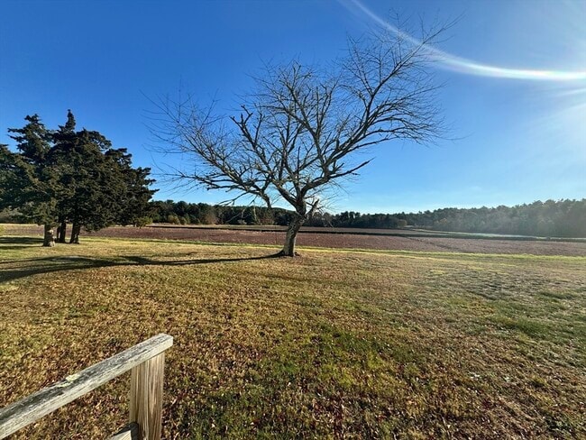 Building Photo - 2667 Cranberry Hwy