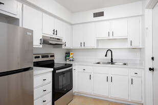 2BR, 1BA - 850SF Kitchen - Ayana Blu