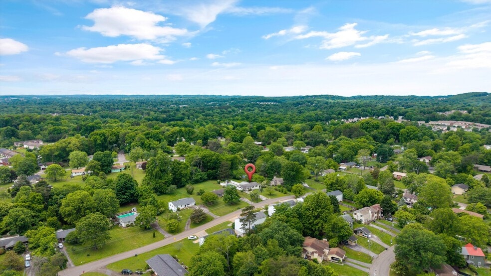 Drone view - 1225 Ferd Hickey Rd