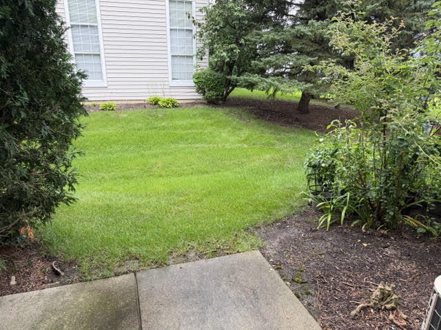 Building Photo - 4532 Quill Ln