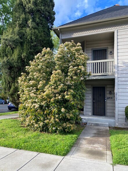 Spacious 1 bed 1 bath apartment in midtown Sacramento - 2703 T St