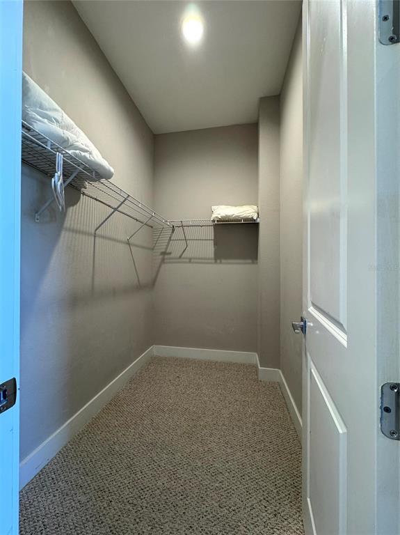 Building Photo - 2628 Sunrise Shores Dr