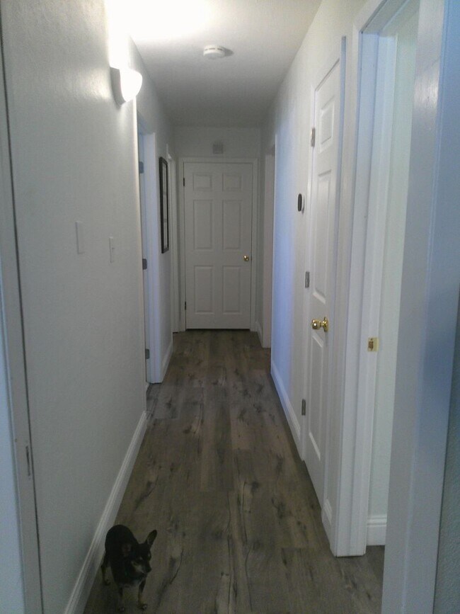 Building Photo - Must see in North Vacaville