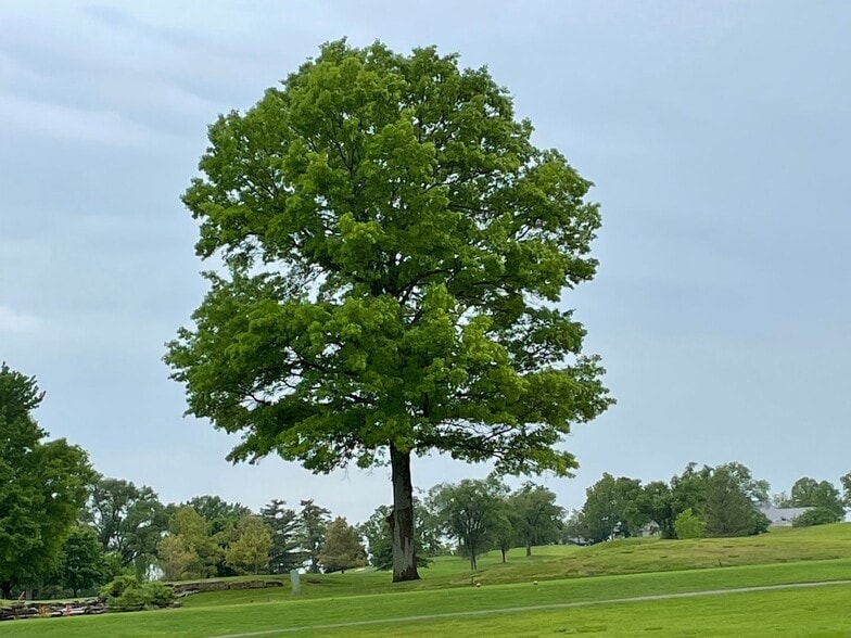 Building Photo - 140 W Rockford Dr