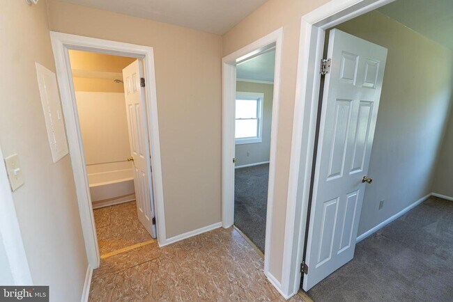 Building Photo - 516 Bay St