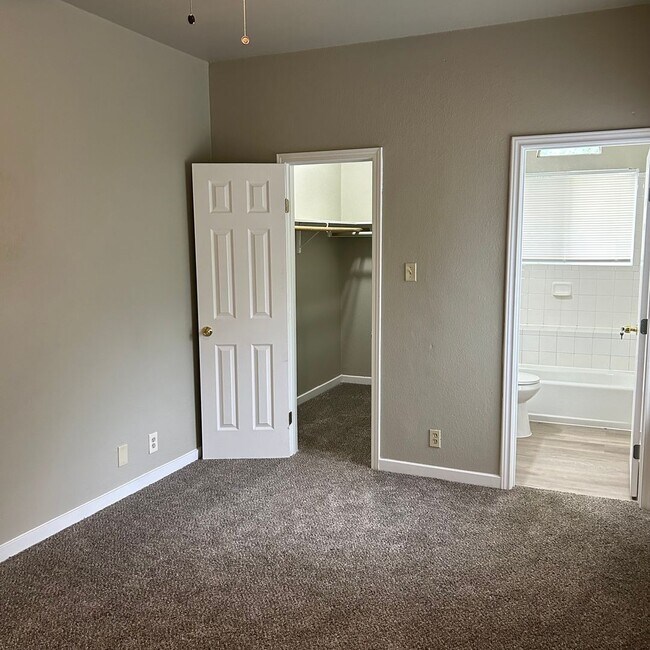 Building Photo - 1217 Armadillo Rd