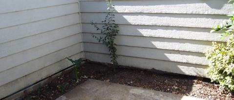Building Photo - 651 Laurel Grove Cir