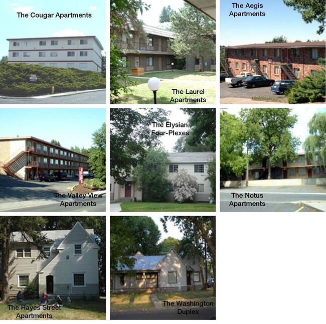 The Cougar Apartments 205 NW Larry St Pullman WA 99163 Apartment Finder