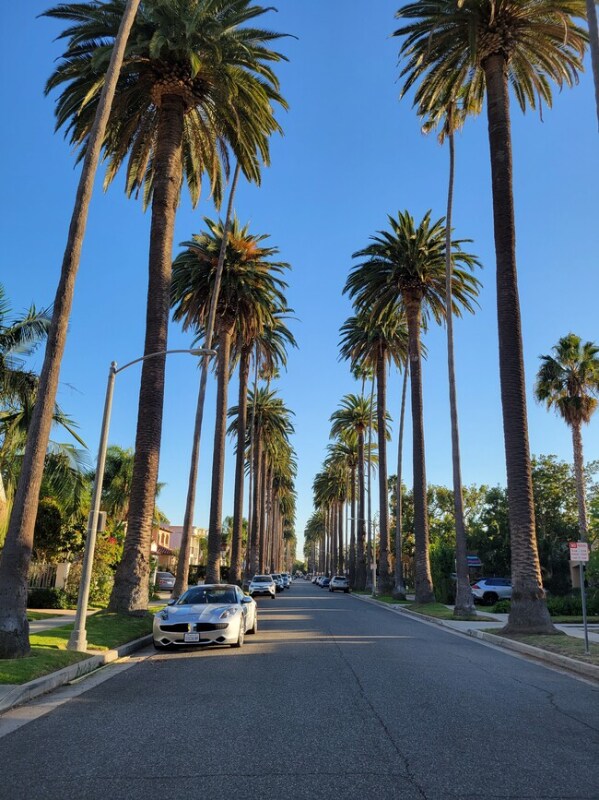 Building Photo - 362 S Palm Dr