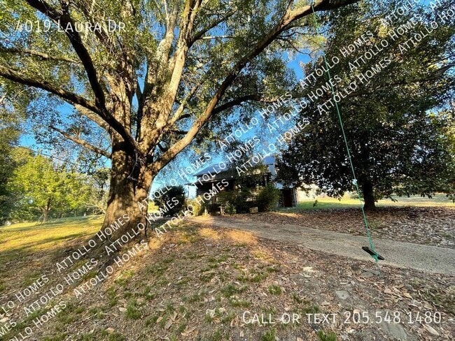 Building Photo - 4019 Laura Dr
