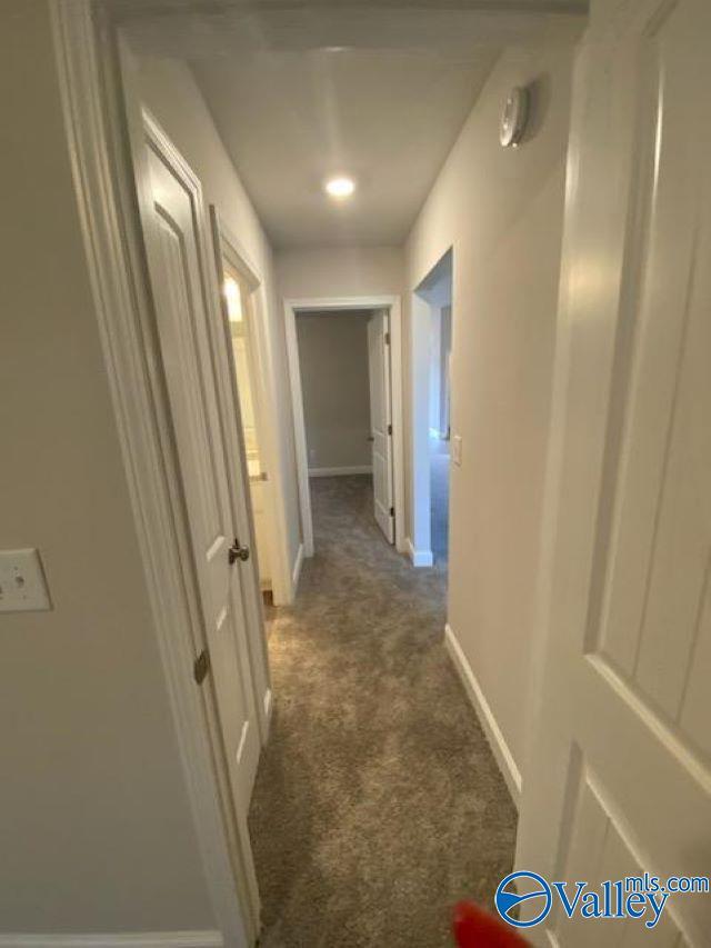 Building Photo - 219 Alonzo Toney Dr