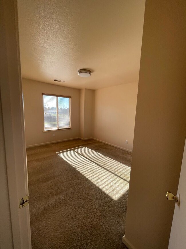 Building Photo - 4143 Canopy Ct