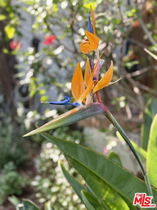 Building Photo - 951 N Martel Ave