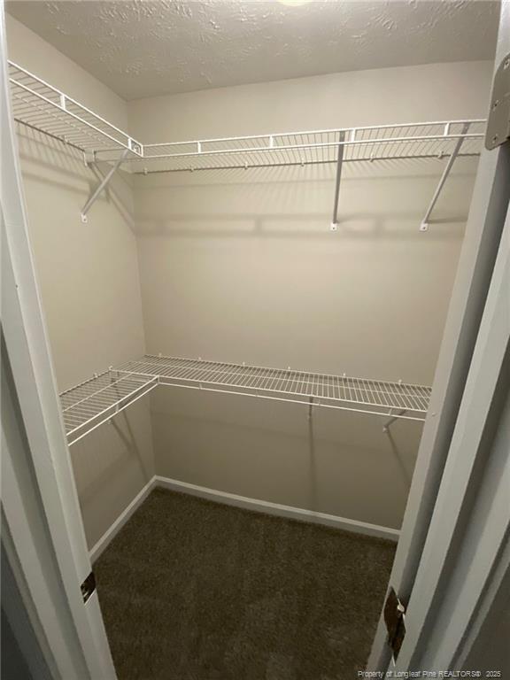 Building Photo - 2106 Crain Ct