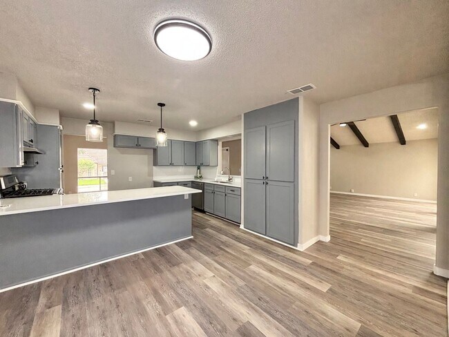 Building Photo - Windcrest Beauty for Rent!
