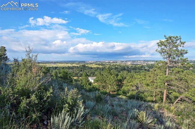 Building Photo - Wonderful Woodmen Oaks Custom Home!