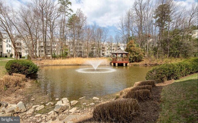 Building Photo - 12205 Fairfield House Dr