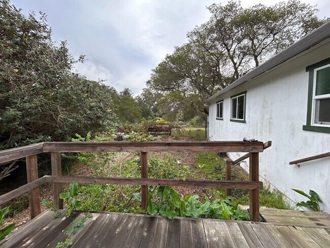 Building Photo - Charming Country Home in Petaluma – 4 Bed, 2 Bath | Available December 1st