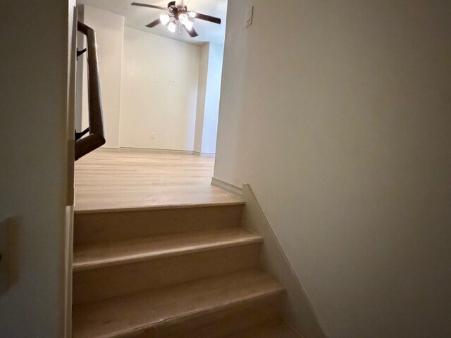 Building Photo - 3314 Selene Dr