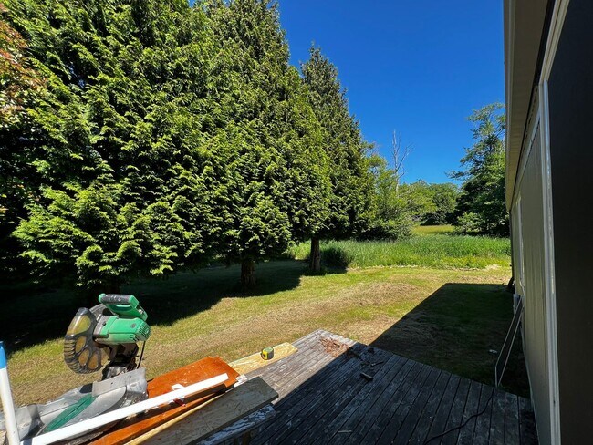 Building Photo - Remodeled 3BD 2BA in Ferndale!