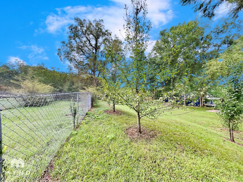 Building Photo - 3821 Rex Cir