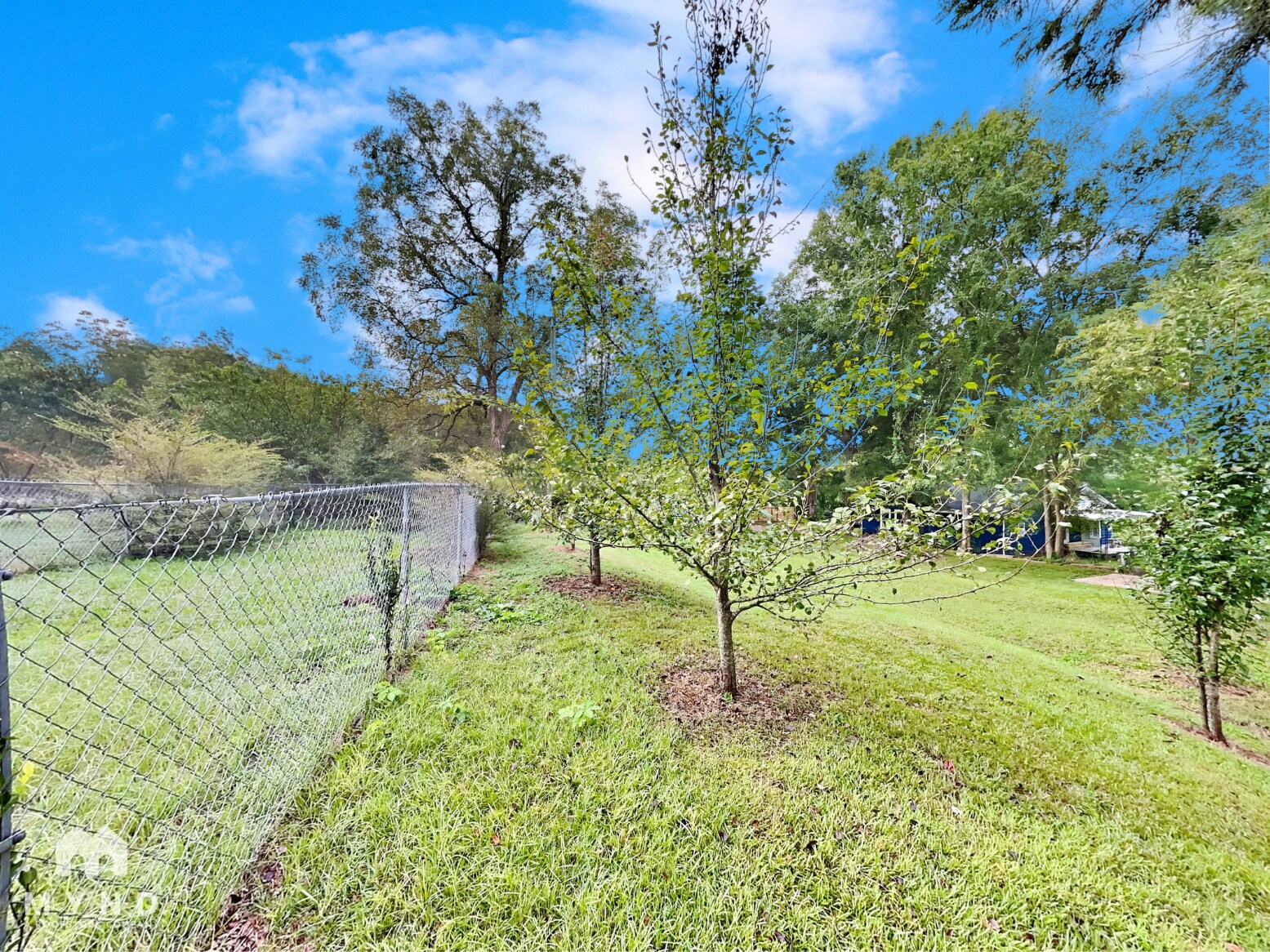 Building Photo - 3821 Rex Cir