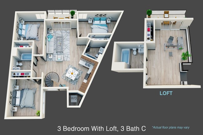 Floorplan - Noho Urban Apartments