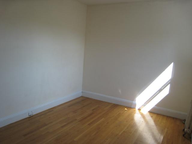 Building Photo - 62 Egmont St