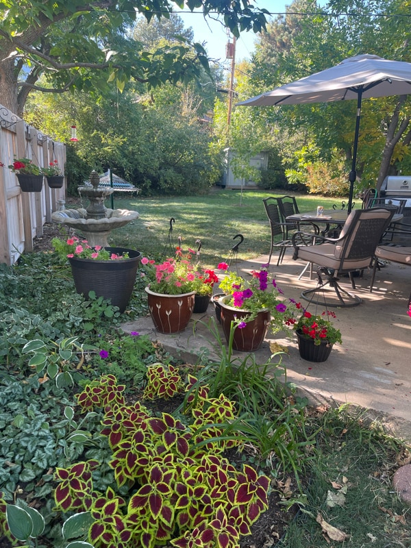 Building Photo - 2240 Hillsdale Cir