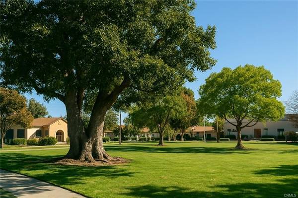 Plummer Park front lawn area / doggy park - 1314 N Vista St