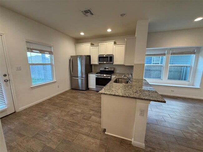 Building Photo - 234 Spiny Lizard Ln