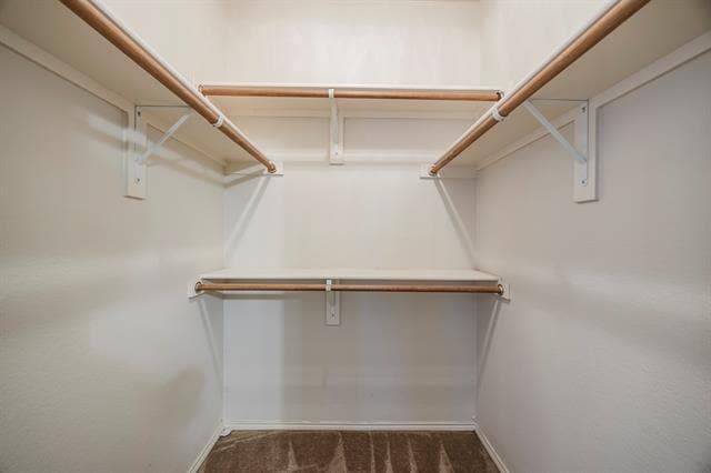 Building Photo - 103 Janis St