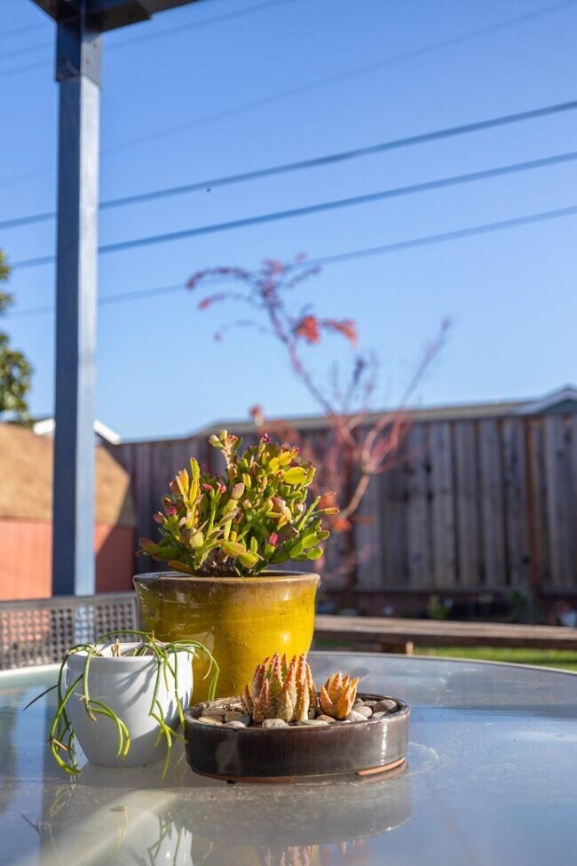 Building Photo - 3276 Andora Dr