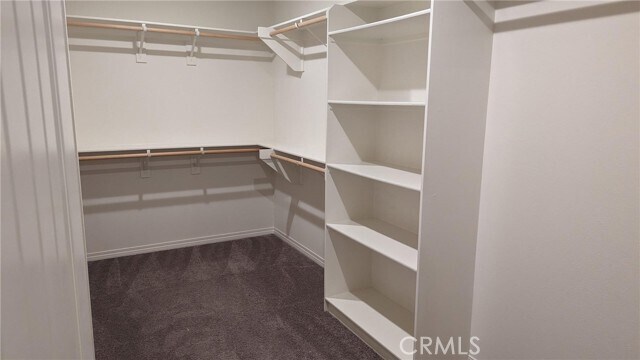 Building Photo - 5440 Starling Dr