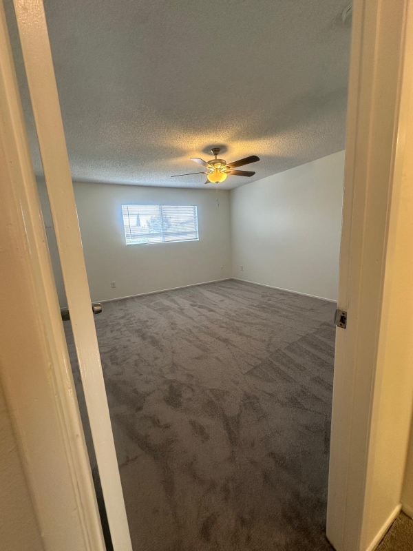 Building Photo - 8533 Rose St