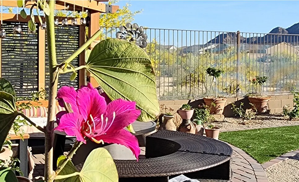 Hong Hong Orchid with Pergola & Mountain View - 2192 W Sierra Sunset Trl