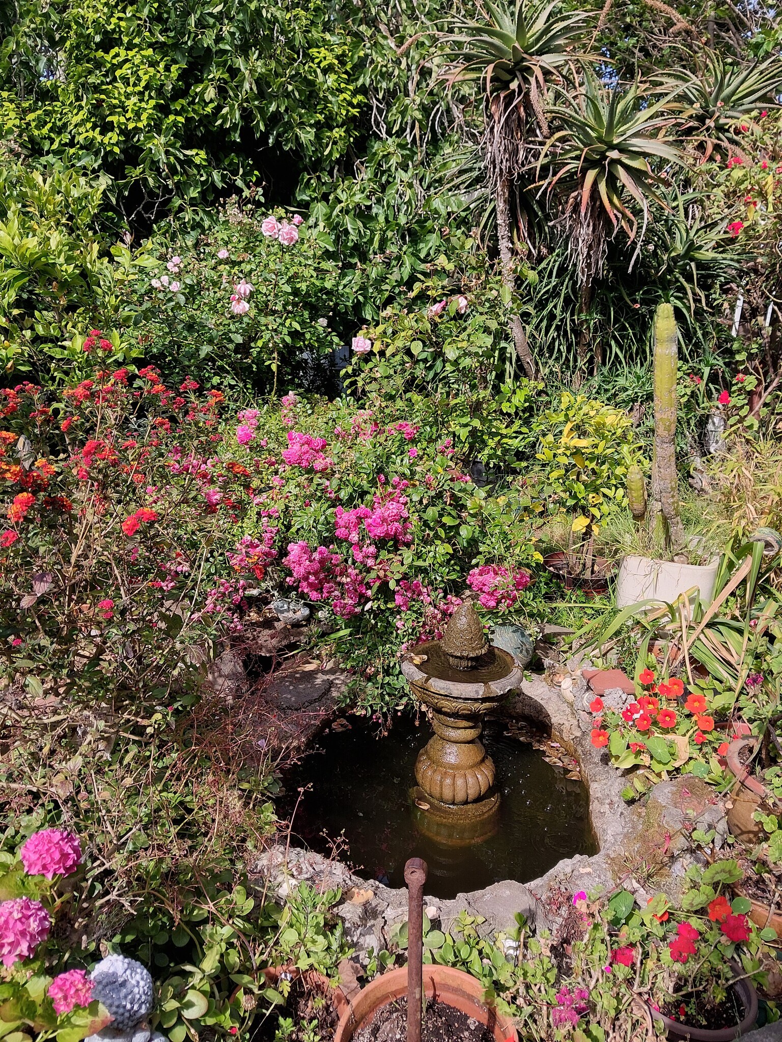 Building Photo - 1110 Hollister Ave