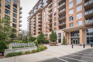 Building Photo - 625 N Segoe Rd