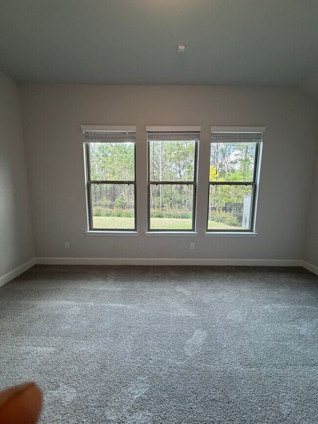 Building Photo - 107 Harlequin Duck Ct