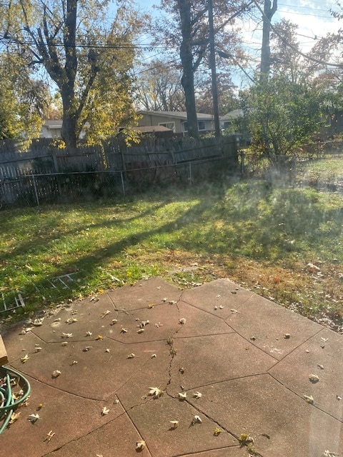 Large back yard - 10630 Landseer Dr