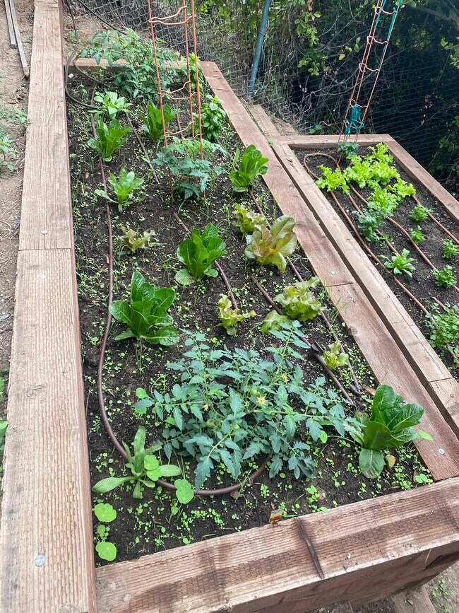 Building Photo - 3772 San Rafael Ave