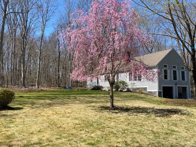Primary Photo - 437 Green Hill Rd