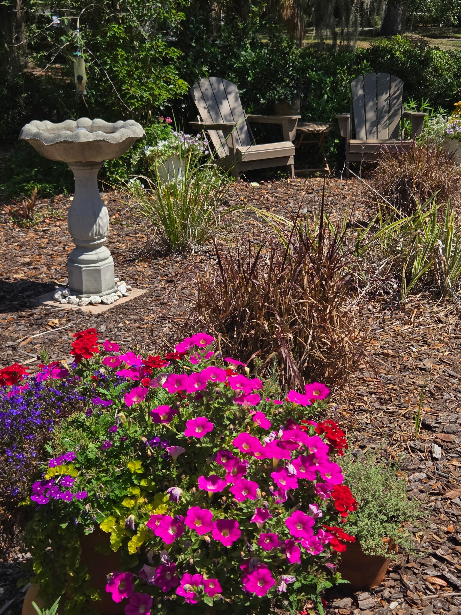 Garden setting - 416 N Summerlin Ave