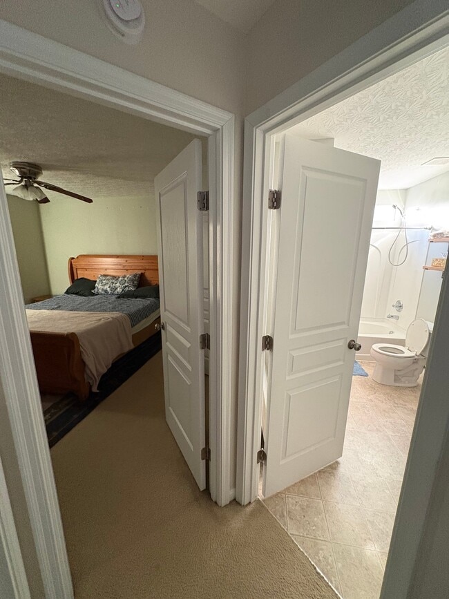 Building Photo - 2330 Treetop Ln