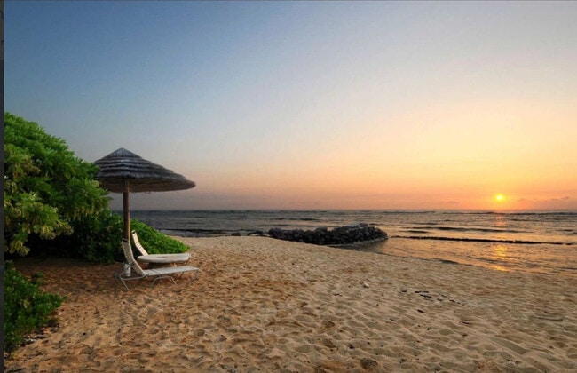 Building Photo - 4-820-820 Kuhio Hwy