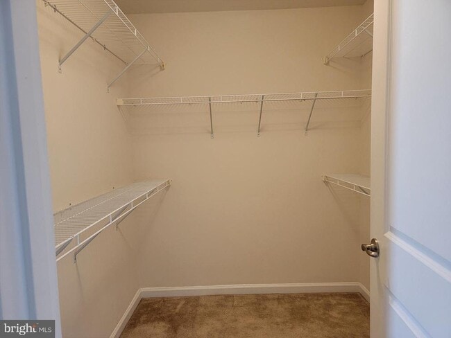 Building Photo - 12347 Echo Hill Pl