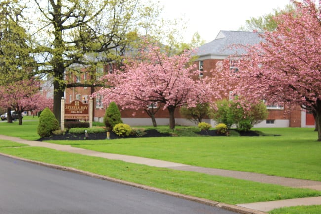 Courtyard - Steeple Bay Estates