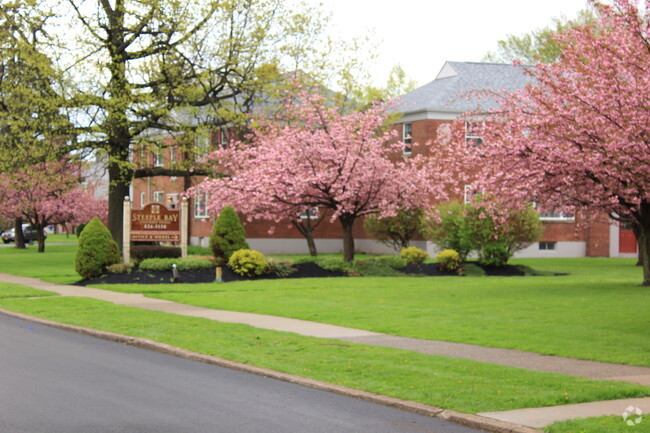 Courtyard - Steeple Bay Estates