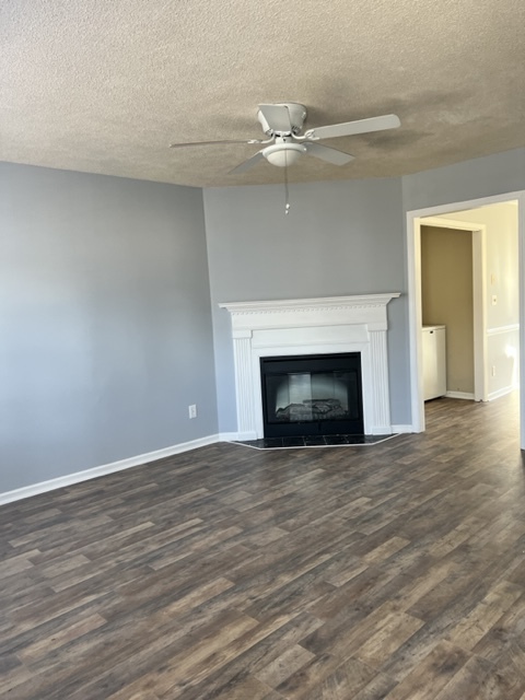 Living Room Fireplace - 934 Spring Forest Rd