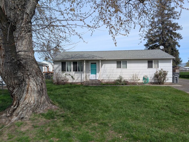 Primary Photo - Light & bright 3 bedroom Orchards house
